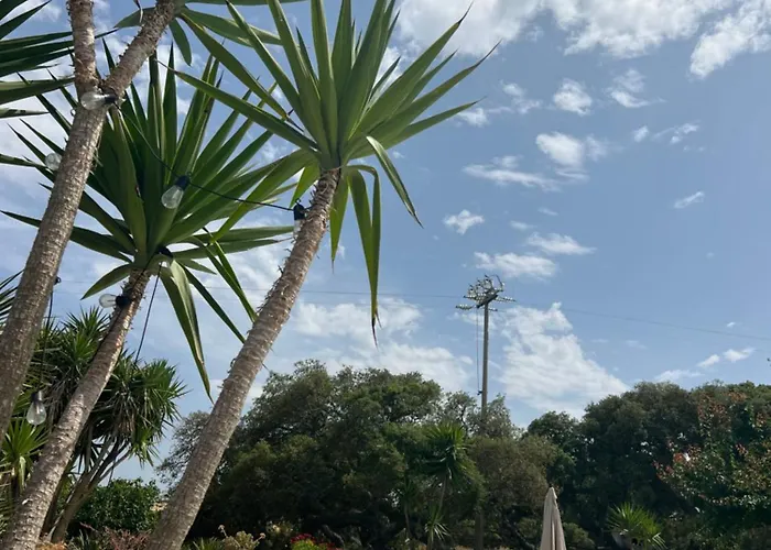 Il Lentischio Casa 3